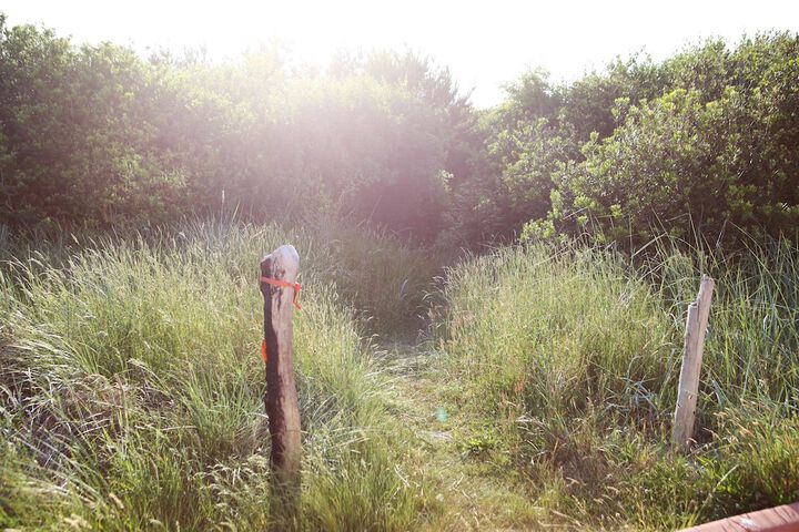 Property Grounds 82 of 85