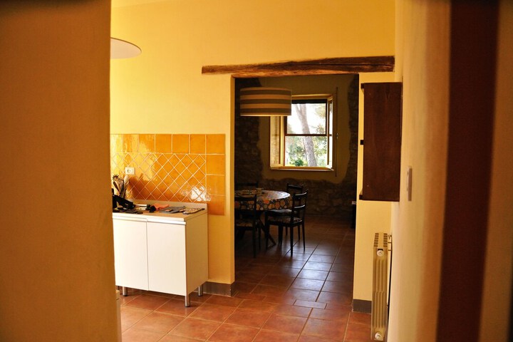 Room 35 of 45