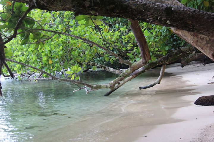 Beach 43 of 49