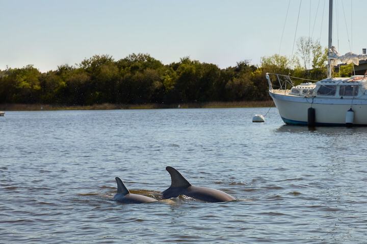 Boating