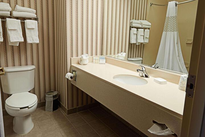 1 King Mobility Hearing Accessible Roll in Shower (13 of 14)