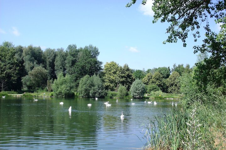 Land view from property