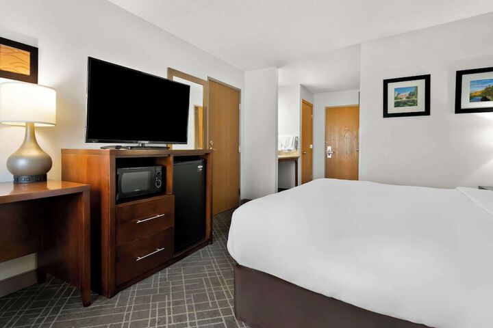 1 King Bed Accessible (14 of 15)