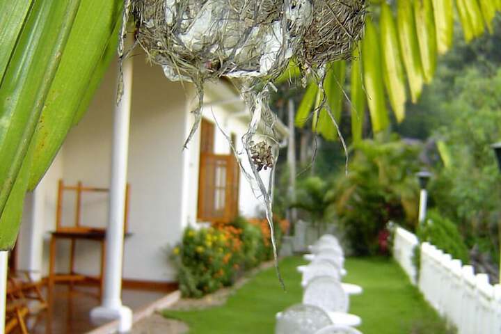 Hotel Exterior 8 of 10