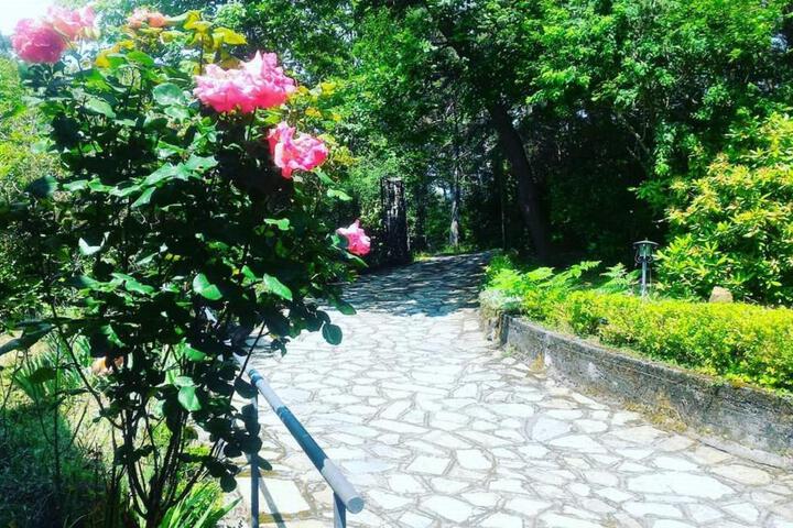 Photo 10