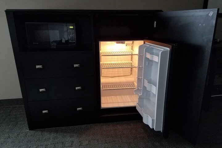 Mini-refrigerator