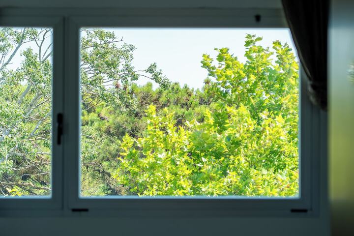 Room 14 of 49