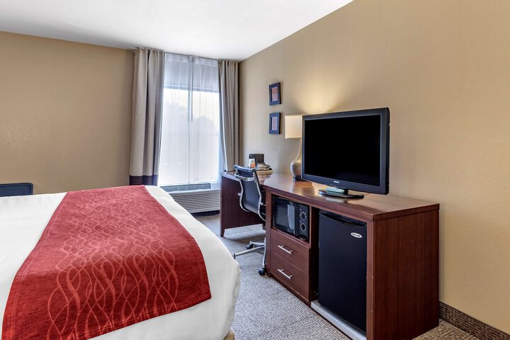 1 King Bed Accessible (3 of 22)