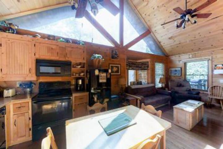 Emerald Springs Loop Cabin 3286 in Townsend, NC