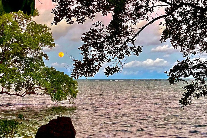 Beach 37 of 45