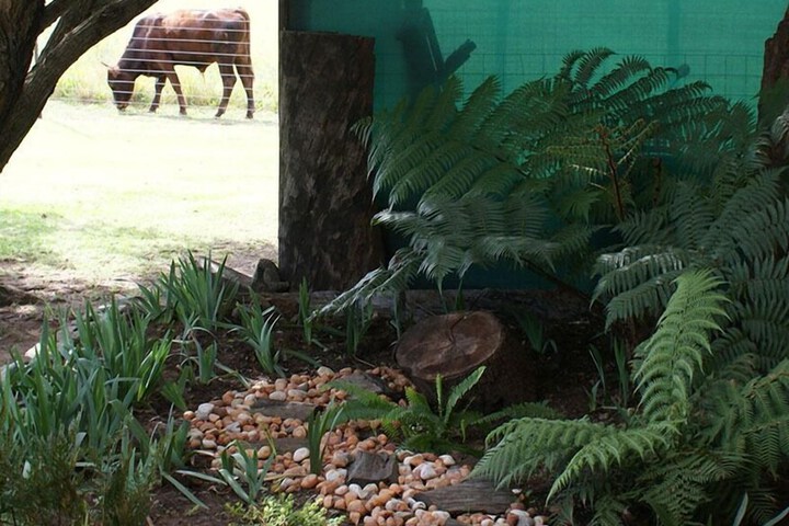 Property Grounds 18 of 38