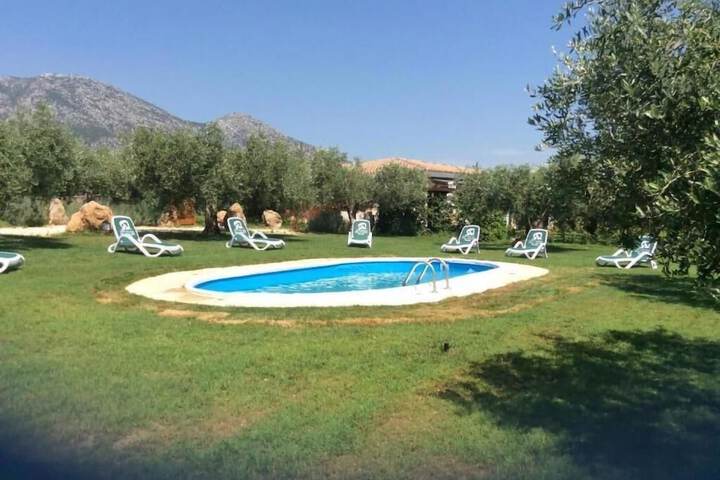 Pool Hotel