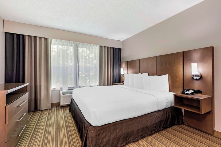 1 King Bed Suite No Pets (4 of 15)