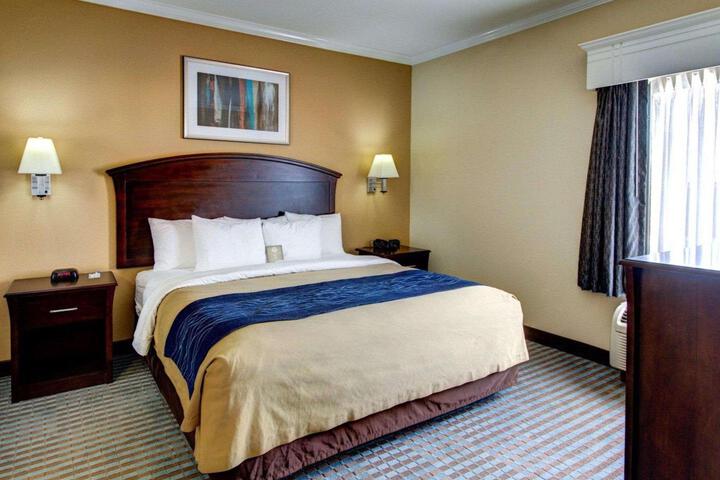 1 King Bed Accessible (4 of 11)