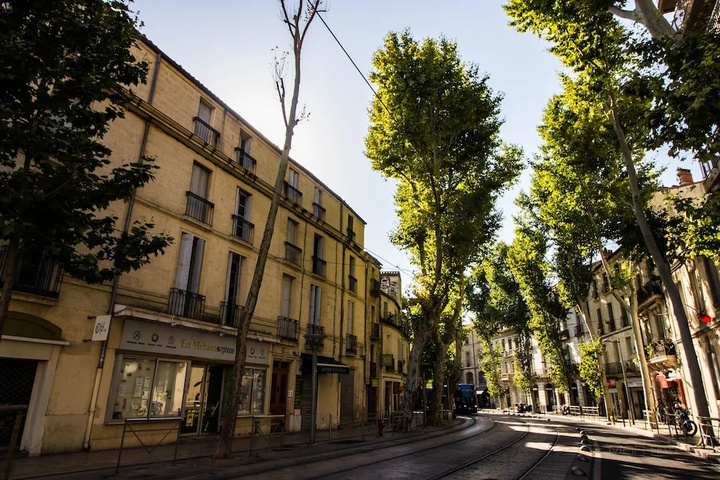 T2 bohème et actif