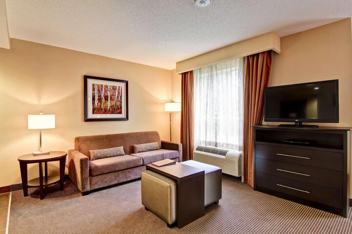 1 King Bed Studio Suite (8 of 22)