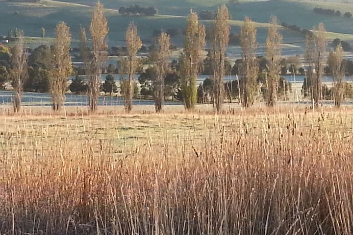 Property Grounds 15 of 22