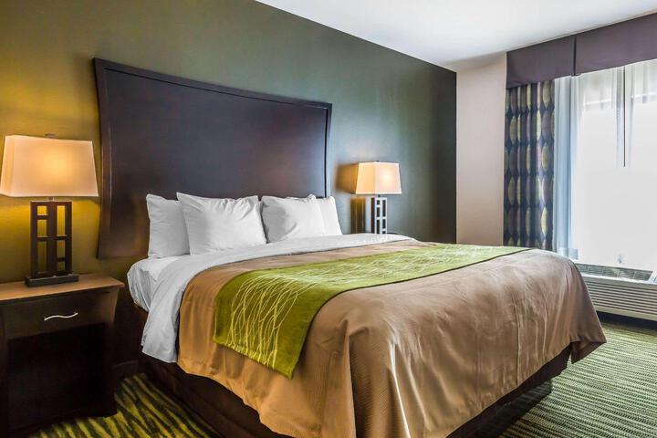 1 King Bed (12 of 13)