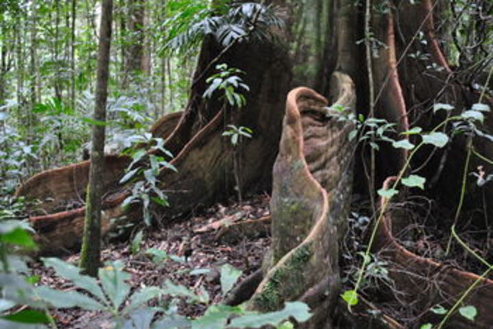 Property Grounds 31 of 43