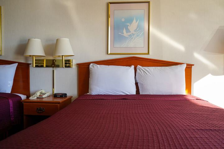 Room 12 of 54