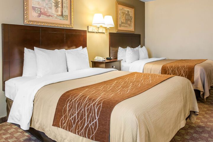 2 Queen Beds (2 of 8)