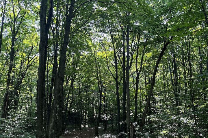 Outdoor Activities 51 of 73