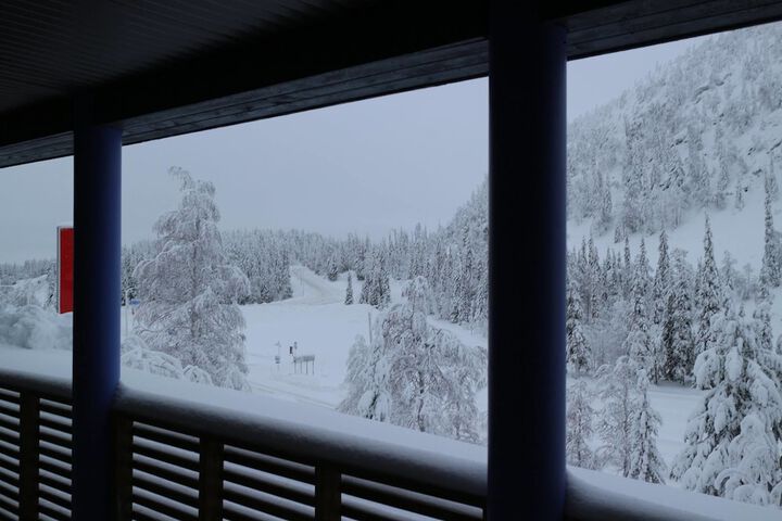 View from room