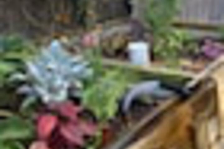 Terrace/Patio 158 of 243