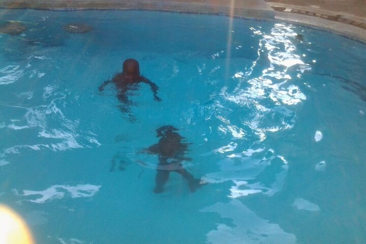 Pool 43 of 66