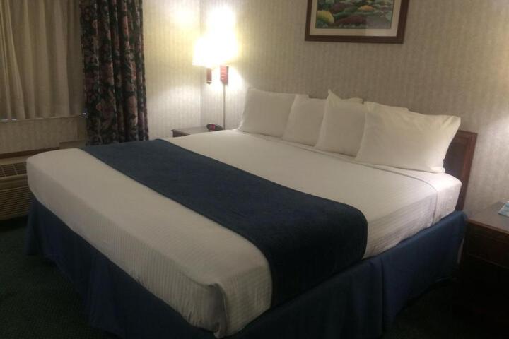 1 King Bed Sofa Bed Work Desk Microwave, Refrigerator Full Breakfast (4 of 9)