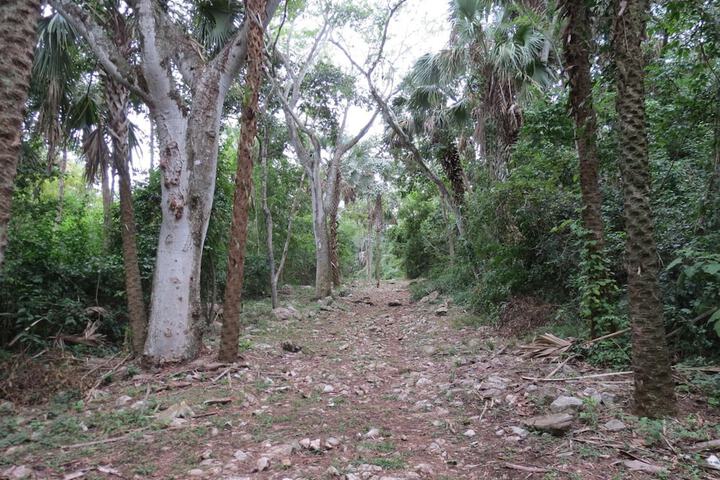 Property Grounds 59 of 75