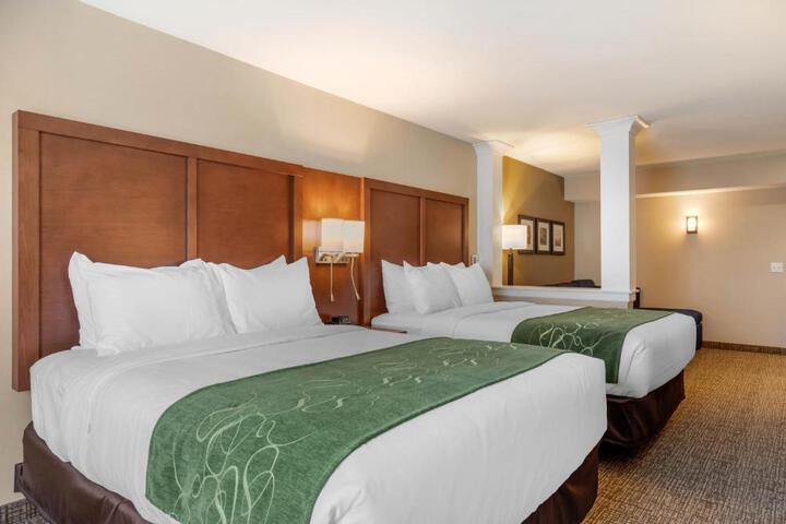 2 Queen Beds (1 of 19)