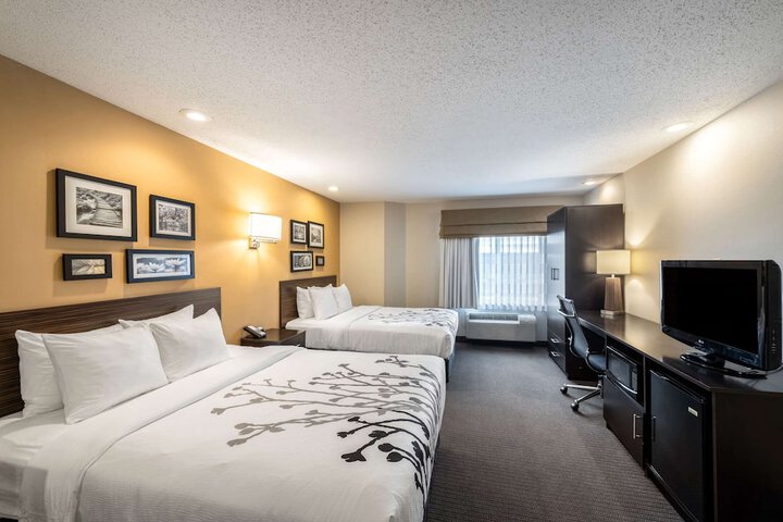 1 Queen Bed Accessible (11 of 14)