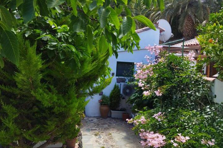 General 77 of 100