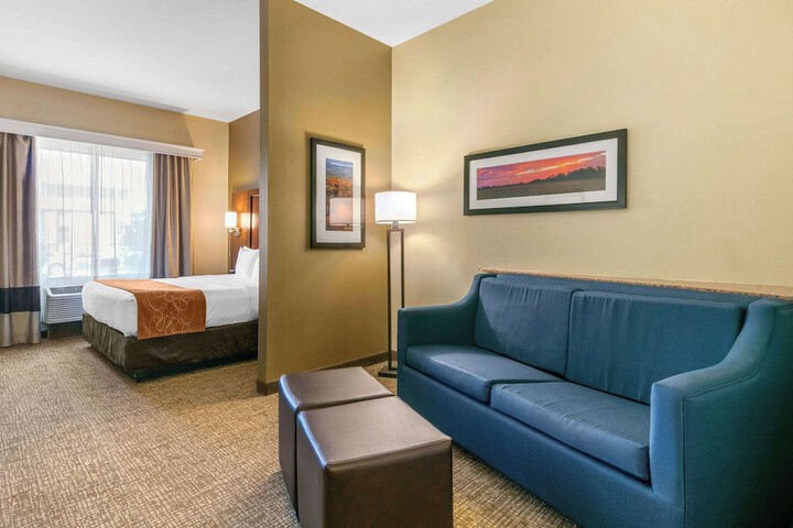 1 King Bed Suite (4 of 20)