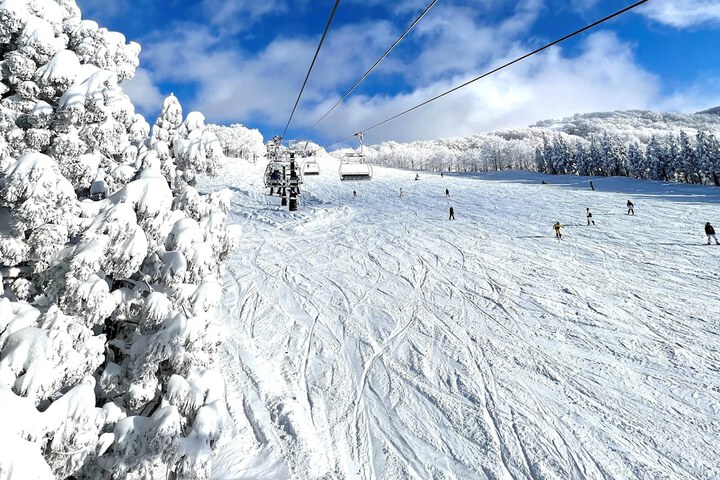 Skiing