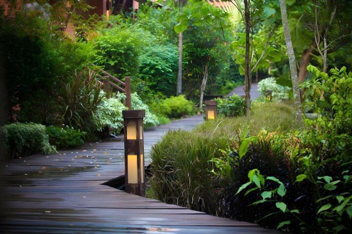 Spa and Wellness Pictures