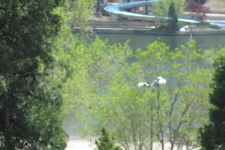 Hotel View 115 of 130