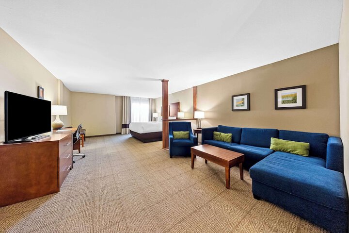 1 King Bed Suite (4 of 11)