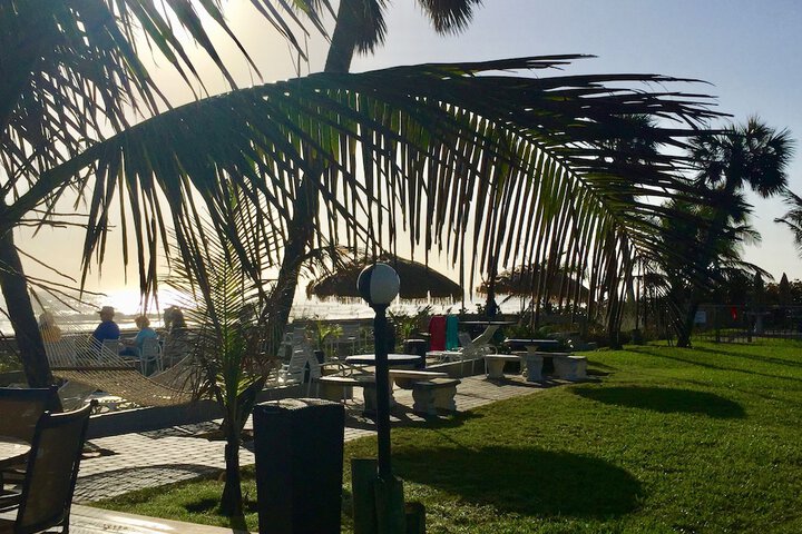 Terrace/Patio 73 of 98