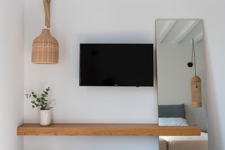 Television