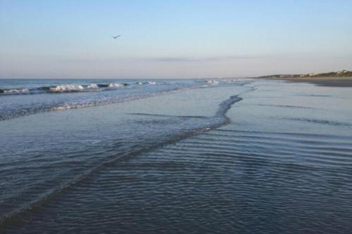 167 Marsh Hawk Lane Home in Kiawah Island, SC