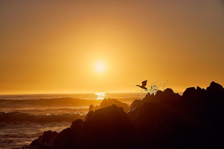 Beach 108 of 137