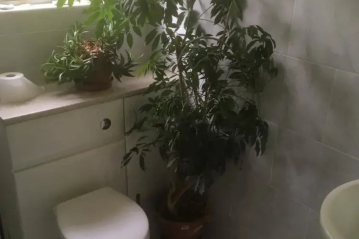 Room 8 of 10