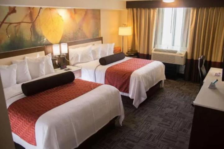 2 Queen Beds (12 of 16)