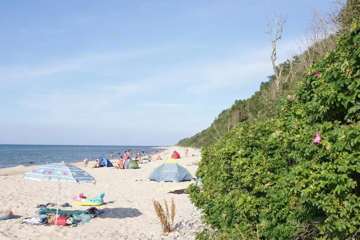 Beach 8 of 12