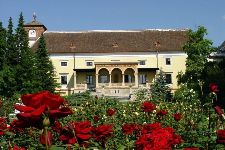 General view