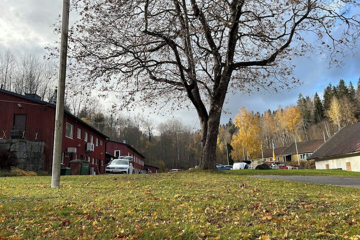 Hotel 80 of 84
