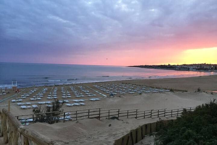 Beach 67 of 74