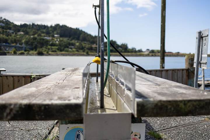 Outdoor Activities 96 of 130